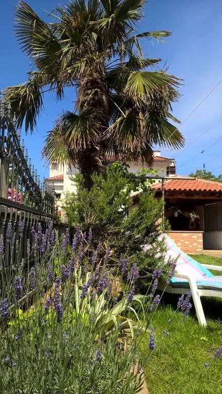 מדולין Porta Anna Apartments מראה חיצוני תמונה