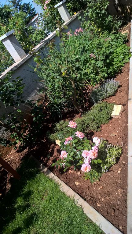 מדולין Porta Anna Apartments מראה חיצוני תמונה